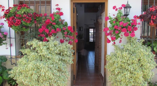 Apartamento Vista Paraiso El Borge
