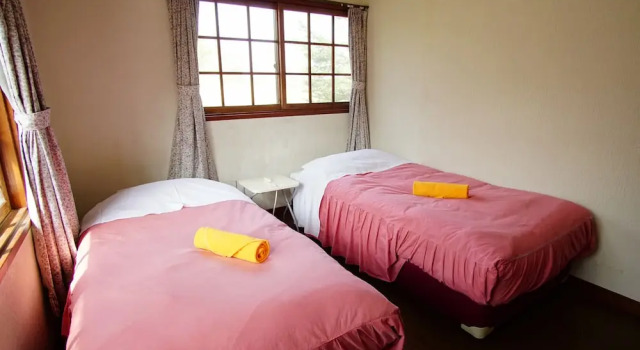 Двухместный номер Economy share&guesthouse HAKUBA SHARE - Hostel