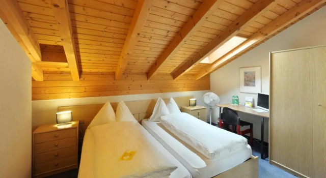 Двухместный номер Economy Hotel Alpha Thun