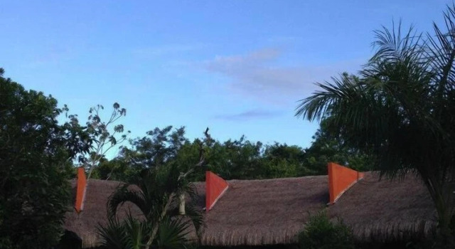 Kiool Eco Hotel & Cenote, Prenota Hotel Hotel a Quintana Roo con parcheggio, Parcheggio