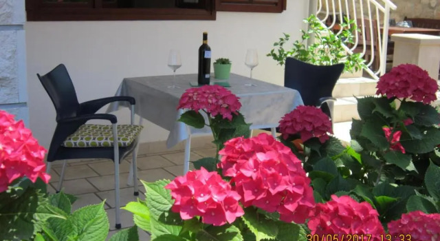 Студия с красивым видом из окна Guesthouse Korkyra Sun