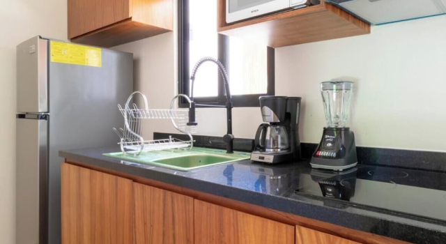 Апартаменты Deluxe Apt with Private Rooftop Tulum 2 BR