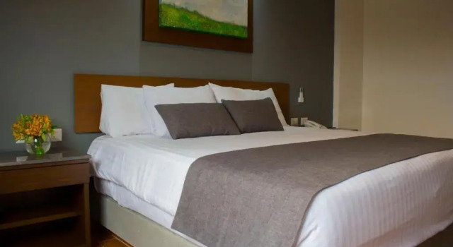 Номер Standard Eco Hotel Guadalajara Expo