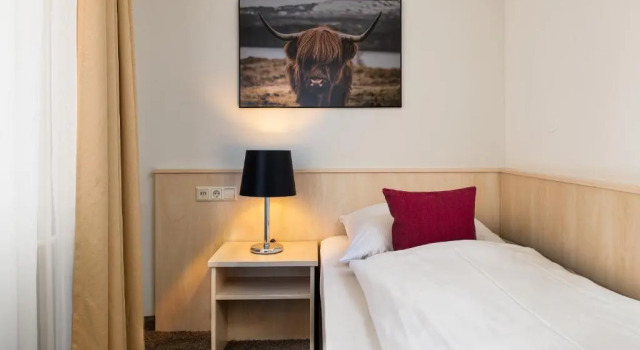 Одноместный номер Standard Boutique Hotel Societe