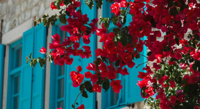 Casa Alegre Alaçatı, Rezerwuj Hotel Çeşme Izmir