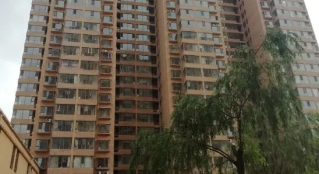 Xingang Apartment, Book Apartment Luliang Shanxi