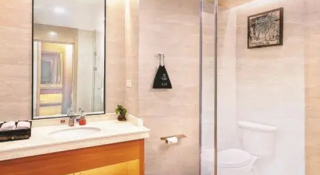 Люкс Luxury S International Hotel