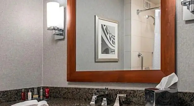 Номер Standard Rochester Airport Marriott