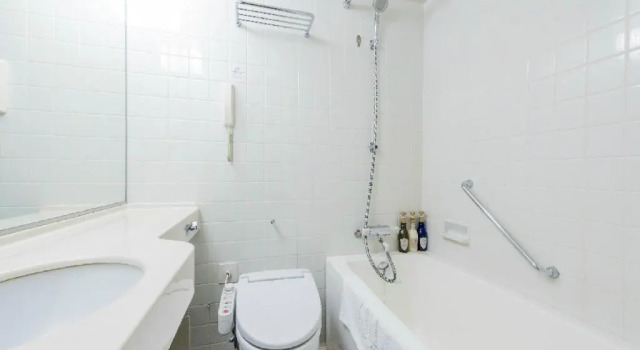 Двухместный номер Standard HOTEL MYSTAYS Sapporo Aspen