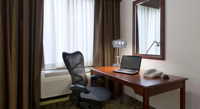 Четырёхместный номер Premium Hilton Garden Inn Lafayette/Cajundome
