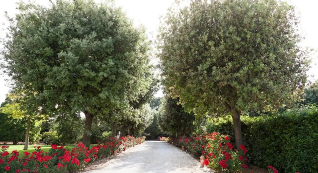 Полулюкс Masseria Lacatena