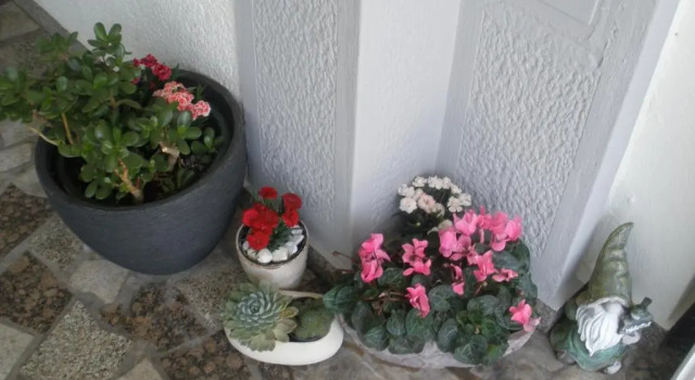 Номер Standard Apartmani i sobe Mara