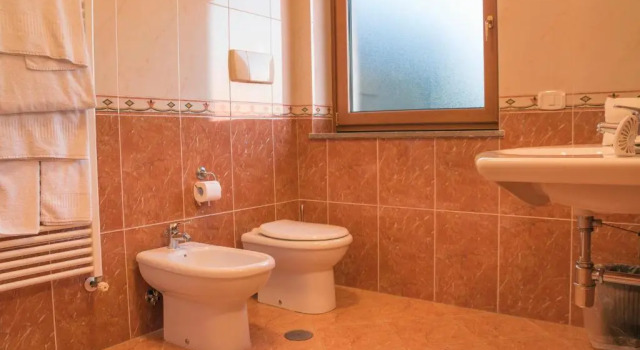 Одноместный номер Standard Ruggiero Park Hotel