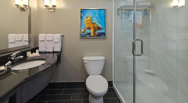Двухместный номер Standard с балконом Hilton Garden Inn Charleston Waterfront/Downtown