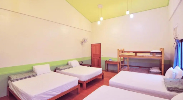 Bed in slaapzaal Tap Bed & Breakfast