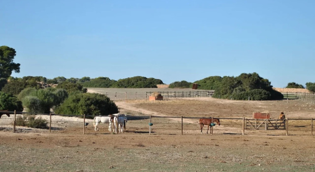 Simple house in super location with private access to the most beautiful beach., Book Hotel Campos 