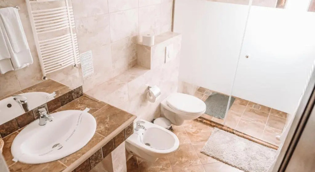 Номер Standard Curtea Bizantina
