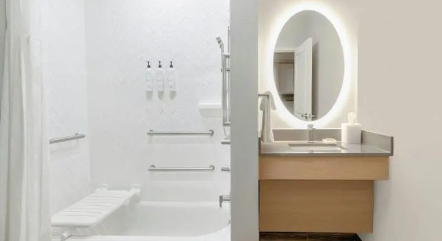 Двухместный люкс Towneplace Suites by Marriott Holland