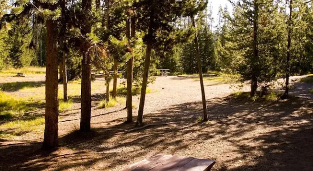 Номер Standard Headwaters Lodge & Cabins at Flagg Ranch