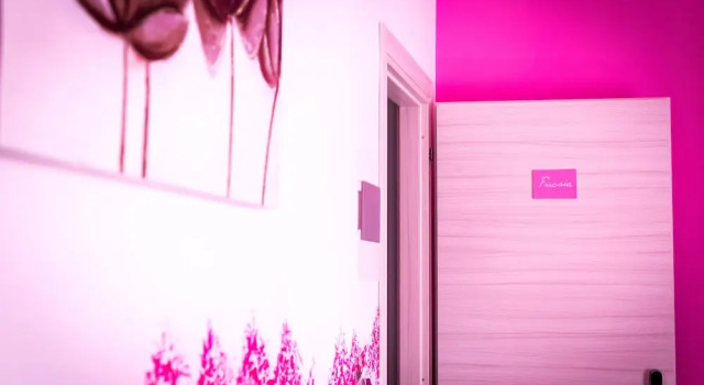 Номер Standard Colors B&B