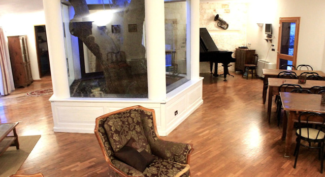 B&B Antico Ulivo