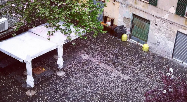 B&B Lavagna Uno
