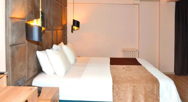 Двухместный номер Deluxe Hotel Davos Istanbul