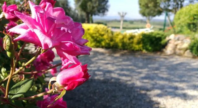 Вилла Can Micos - casa rural & events