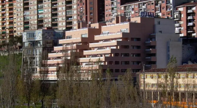 Standard Yhden hengen huone Hotel Armiñe