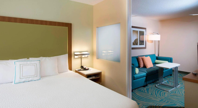 Двухместный люкс SpringHill Suites by Marriott Atlanta Alpharetta