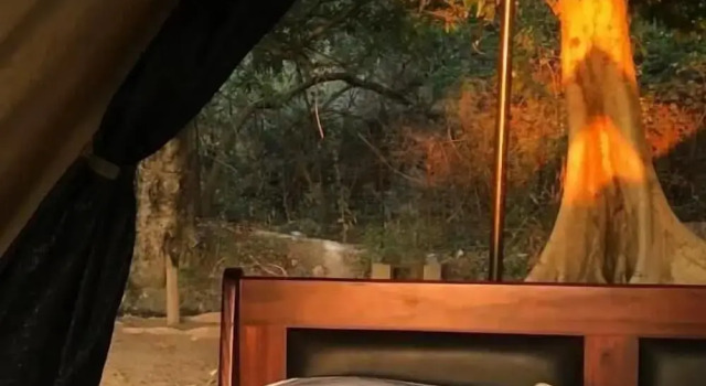 Senate Boutique Camp - Campsite, Buchen Sie Campingplatz Camping & Glamping in Limpopo, Campingplatz