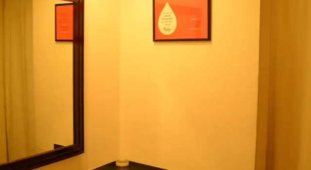 Номер Business Red Fox by Lemon Tree Hotels, Jaipur