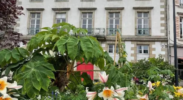 les croix appartements, Rezerwuj Apartament  