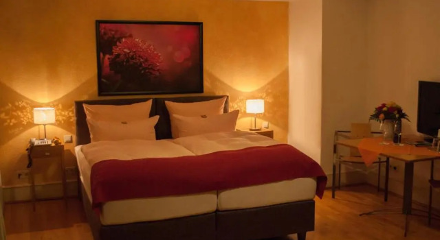 Двухместный номер Standard Hotel Goldener Falke