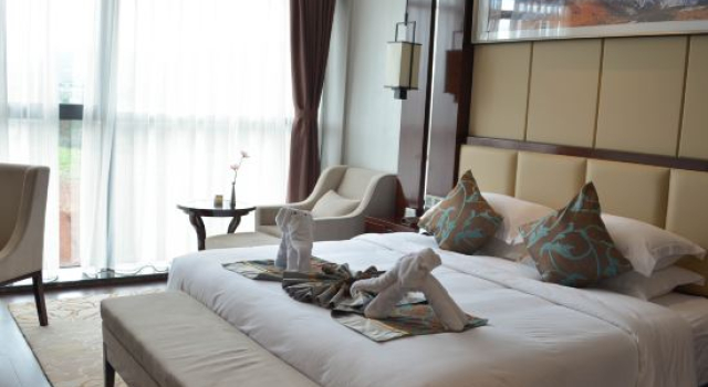 Люкс Wangtong International Garden Hotel