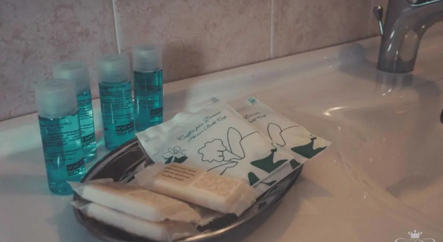 Трёхместный номер Standard Hotel Insonnia