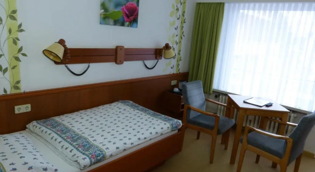 Одноместный номер Standard Hotel Am Kurpark