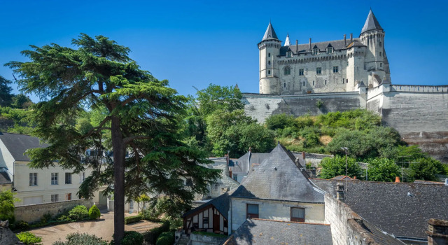 Hôtel Anne dAnjou, The Originals Collection, Забронировать Отель Сомюр Maine-et-Loire