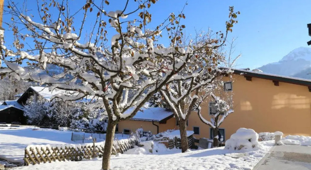 Студия Appartement Ilvy
