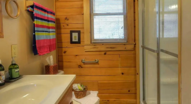 Soaring Eagle Cabin 1 Bedroom 1 Bathroom Cabin