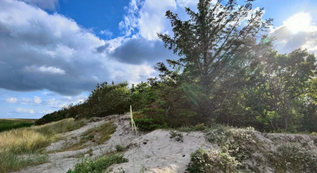 Коттедж Lovely Holiday Home in Jutland near Sea