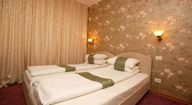 Standardowy dwuosobowy pokój Pension Dinu Residence