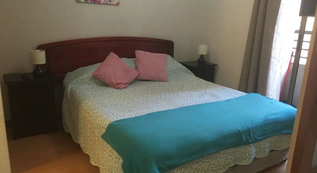 Santa Rosa Apartment, Santiago Downtown, Забронировать Апартаменты/квартира Отели Сантьяго с бассейном, рядом с Муниципальный театр Сантьяго, Бассейн