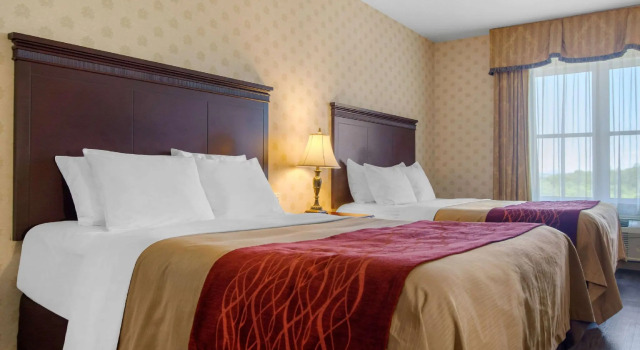Четырёхместный номер Standard Comfort Inn & Suites