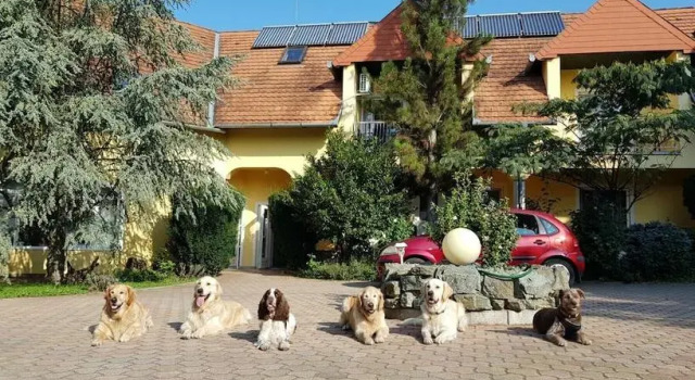 Wagner Panzió, Prenota Hotel Hotel a Western Transdanubia con piscina, Piscina