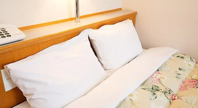 Двухместный номер Standard Hotel Shinsuien