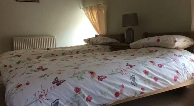 Люкс Afon Duad Inn