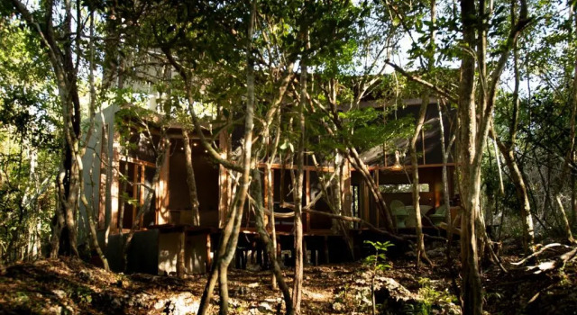 OJO DE ÁRBOL, boutique cabin in the jungle. Relax