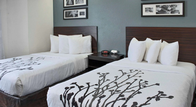 Standard- firedobbelt værelse Sleep Inn Lake Wright