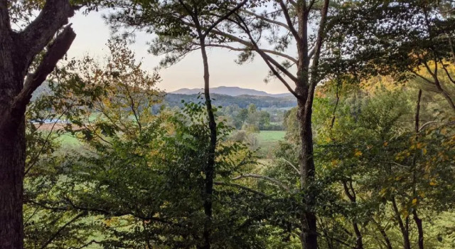 Коттедж Treehouse Ellijay Star5vacations